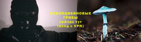 мдпв Козловка