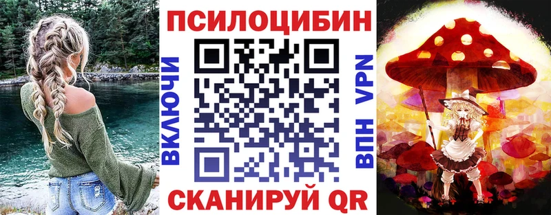 купить наркотики сайты  Петропавловск-Камчатский  Псилоцибиновые грибы Magic Shrooms 