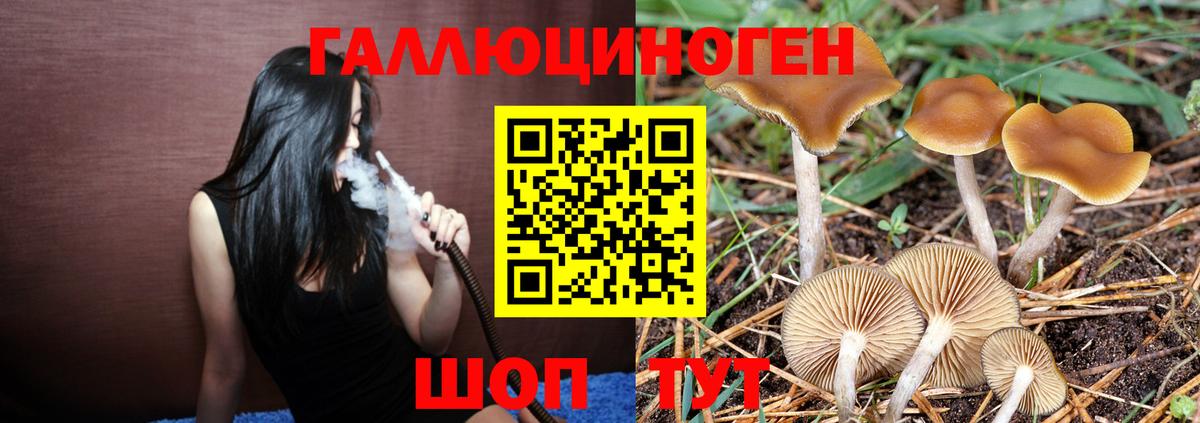 Петропавловск-Камчатский  Псилоцибиновые грибы ЛСД  Вход с VPN 